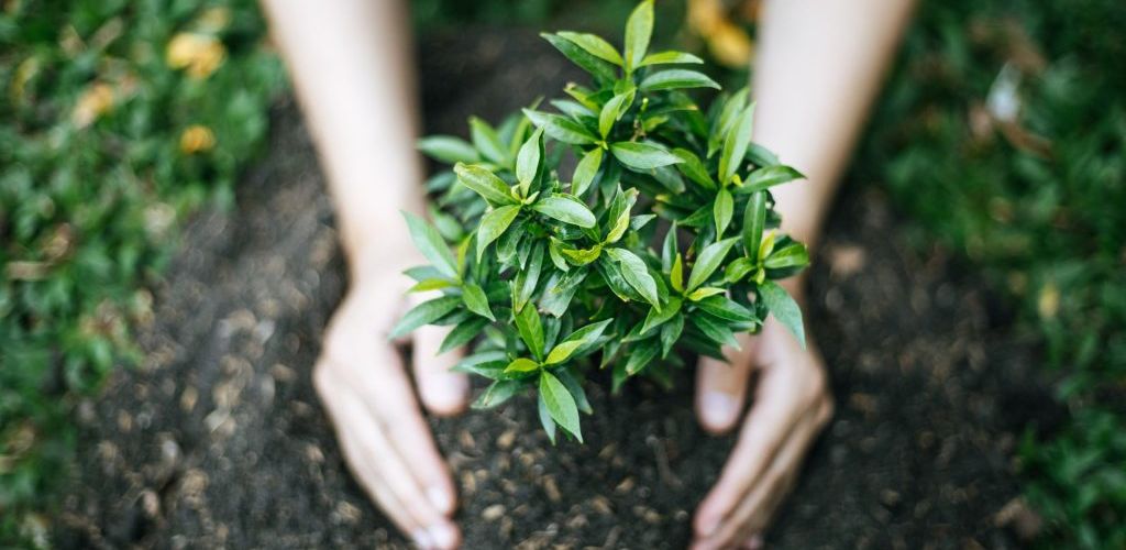 Um desafio significativo é a falta de educação ambiental entre os moradores